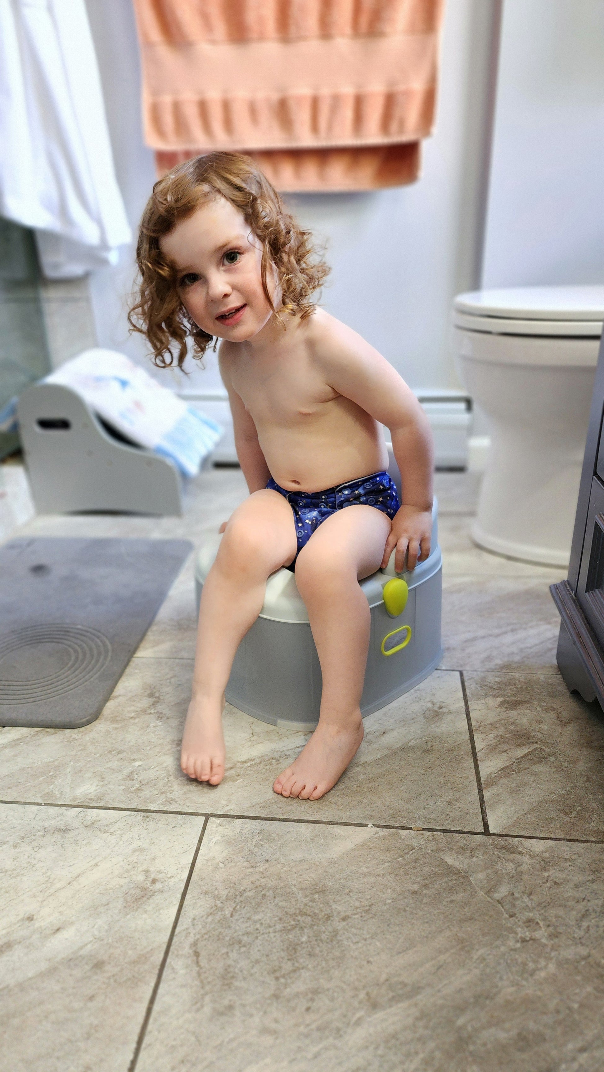 3-in-1 potty