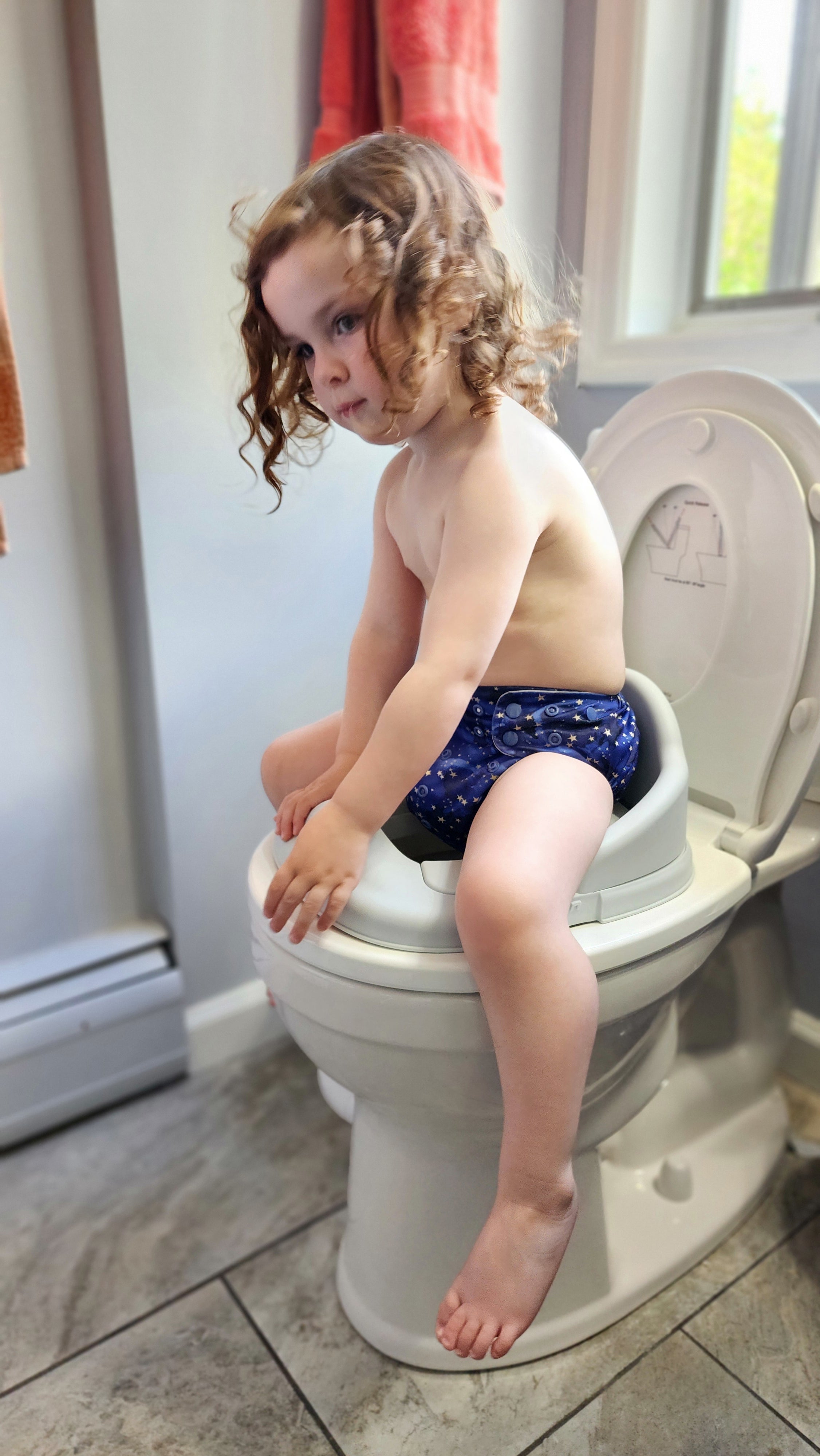 3-in-1 potty